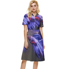 Betta Fish Photo And Wallpaper Cute Betta Fish Pictures Button Top Knee Length Dress