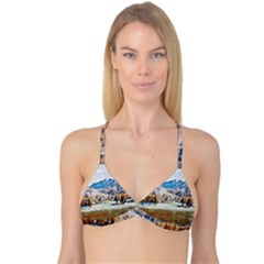 Trentino Alto Adige, Italy  Reversible Tri Bikini Top by ConteMonfrey