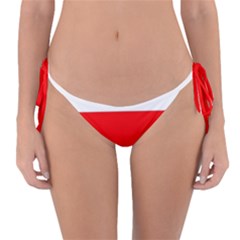 Erzya Flag Reversible Bikini Bottom by tony4urban