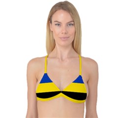 Gelderland Flag Reversible Tri Bikini Top by tony4urban