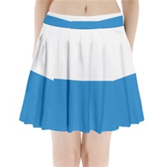 Lucerne Pleated Mini Skirt