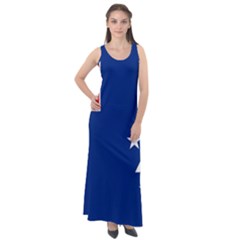 French Southern Territories Sleeveless Velour Maxi Dress by tony4urban