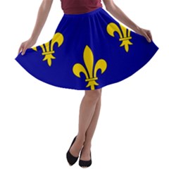 Ile De France Flag A-line Skater Skirt