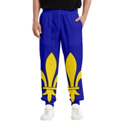 Ile De France Flag Men s Elastic Waist Pants by tony4urban