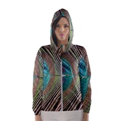 Peacock Women s Hooded Windbreaker