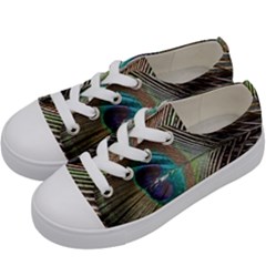 Peacock Kids  Low Top Canvas Sneakers by StarvingArtisan