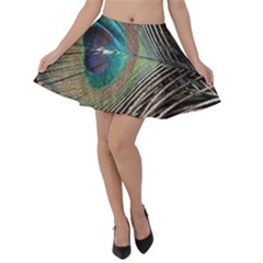 Peacock Velvet Skater Skirt by StarvingArtisan