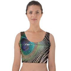 Peacock Velvet Crop Top by StarvingArtisan