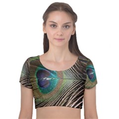 Peacock Velvet Short Sleeve Crop Top  by StarvingArtisan