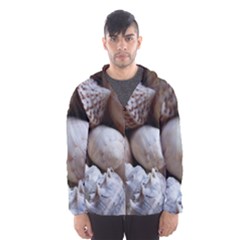 Beautiful Seashells  Men s Hooded Windbreaker by StarvingArtisan