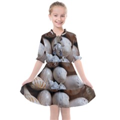 Beautiful Seashells  Kids  All Frills Chiffon Dress