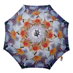 Daisy Painting  Hook Handle Umbrellas (small) by StarvingArtisan