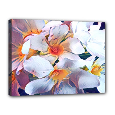 Daisy Painting  Canvas 16  X 12  (stretched)