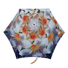 Daisy Painting  Mini Folding Umbrellas by StarvingArtisan