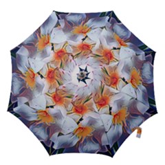 Daisy Painting  Hook Handle Umbrellas (medium)
