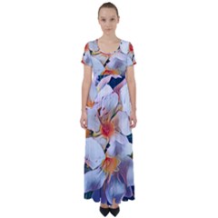 Daisy Painting  High Waist Short Sleeve Maxi Dress