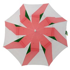 Green Pink Interior Paint Straight Umbrellas