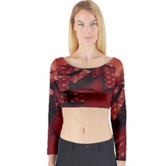 Valentines Gift Long Sleeve Crop Top