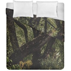 Botanical Motif Trees Detail Photography Duvet Cover Double Side (california King Size) by dflcprintsclothing