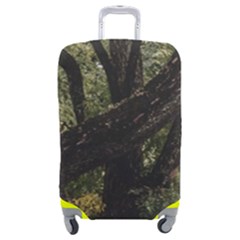 Botanical Motif Trees Detail Photography Luggage Cover (medium) by dflcprintsclothing