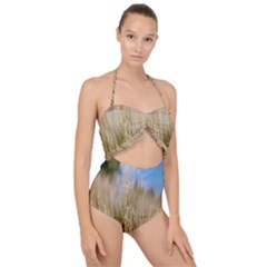 Close-up Ladang Whey Scallop Top Cut Out Swimsuit