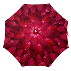 Raspberries Straight Umbrellas by artworkshop