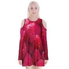 Raspberries Velvet Long Sleeve Shoulder Cutout Dress by artworkshop