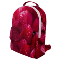 Raspberries Flap Pocket Backpack (small) by artworkshop