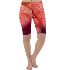 Leaf Copper Leaf Plant Nature Cropped Leggings 