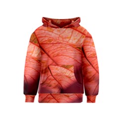 Leaf Copper Leaf Plant Nature Kids  Pullover Hoodie by Ravend