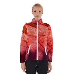 Leaf Copper Leaf Plant Nature Women s Bomber Jacket