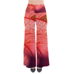 Leaf Copper Leaf Plant Nature So Vintage Palazzo Pants