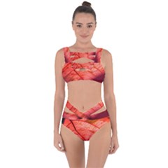 Leaf Copper Leaf Plant Nature Bandaged Up Bikini Set 