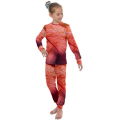 Leaf Copper Leaf Plant Nature Kids  Long Sleeve Set 