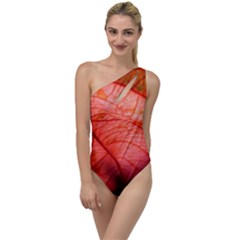 Leaf Copper Leaf Plant Nature To One Side Swimsuit