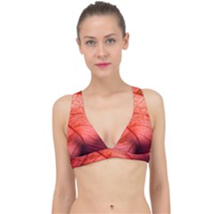 Leaf Copper Leaf Plant Nature Classic Banded Bikini Top