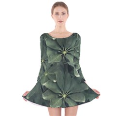 Leaves Closeup Background Photo1 Long Sleeve Velvet Skater Dress by dflcprintsclothing