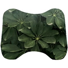 Leaves Closeup Background Photo1 Head Support Cushion by dflcprintsclothing