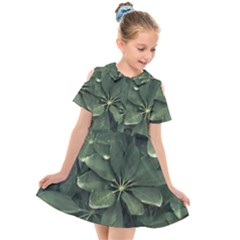 Leaves Closeup Background Photo1 Kids  Short Sleeve Shirt Dress by dflcprintsclothing