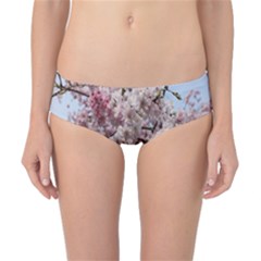 Almond Tree Flower Classic Bikini Bottoms by artworkshop