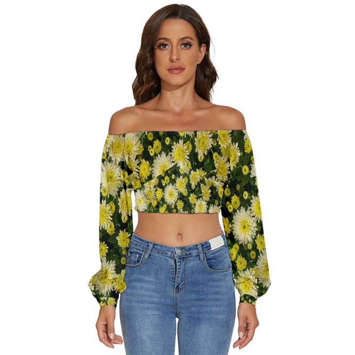 Autumn Background Closeup Flowers Long Sleeve Crinkled Weave Crop Top