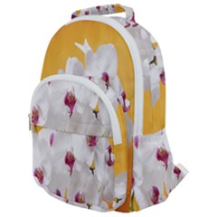 Boards Decoration Flower Flower Room Rounded Multi Pocket Backpack by artworkshop