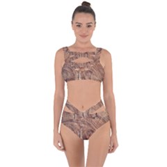 Brown Close Up Hd Wallpaper Surface Bandaged Up Bikini Set  by artworkshop