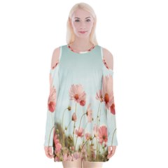 Cosmos Flower Blossom In Garden Velvet Long Sleeve Shoulder Cutout Dress by artworkshop