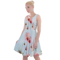 Cosmos Flower Blossom In Garden Knee Length Skater Dress by artworkshop
