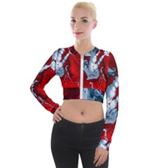 Design Pattern Decoration Long Sleeve Cropped Velvet Jacket