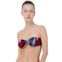 Design Pattern Decoration Classic Bandeau Bikini Top  by artworkshop