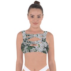 Exterior Building Pattern Bandaged Up Bikini Top by artworkshop