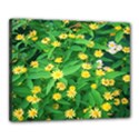 Flower Plant Spring Canvas 20  x 16  (Stretched) View1