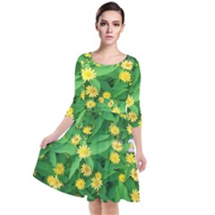 Flower Plant Spring Quarter Sleeve Waist Band Dress by artworkshop